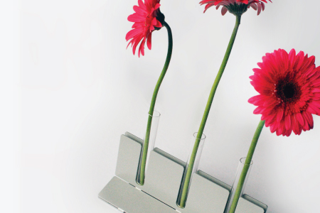 budvase_main