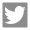 twitter_icon