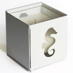 table.glow_seahorse