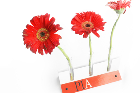table77_bud.vase_corporate